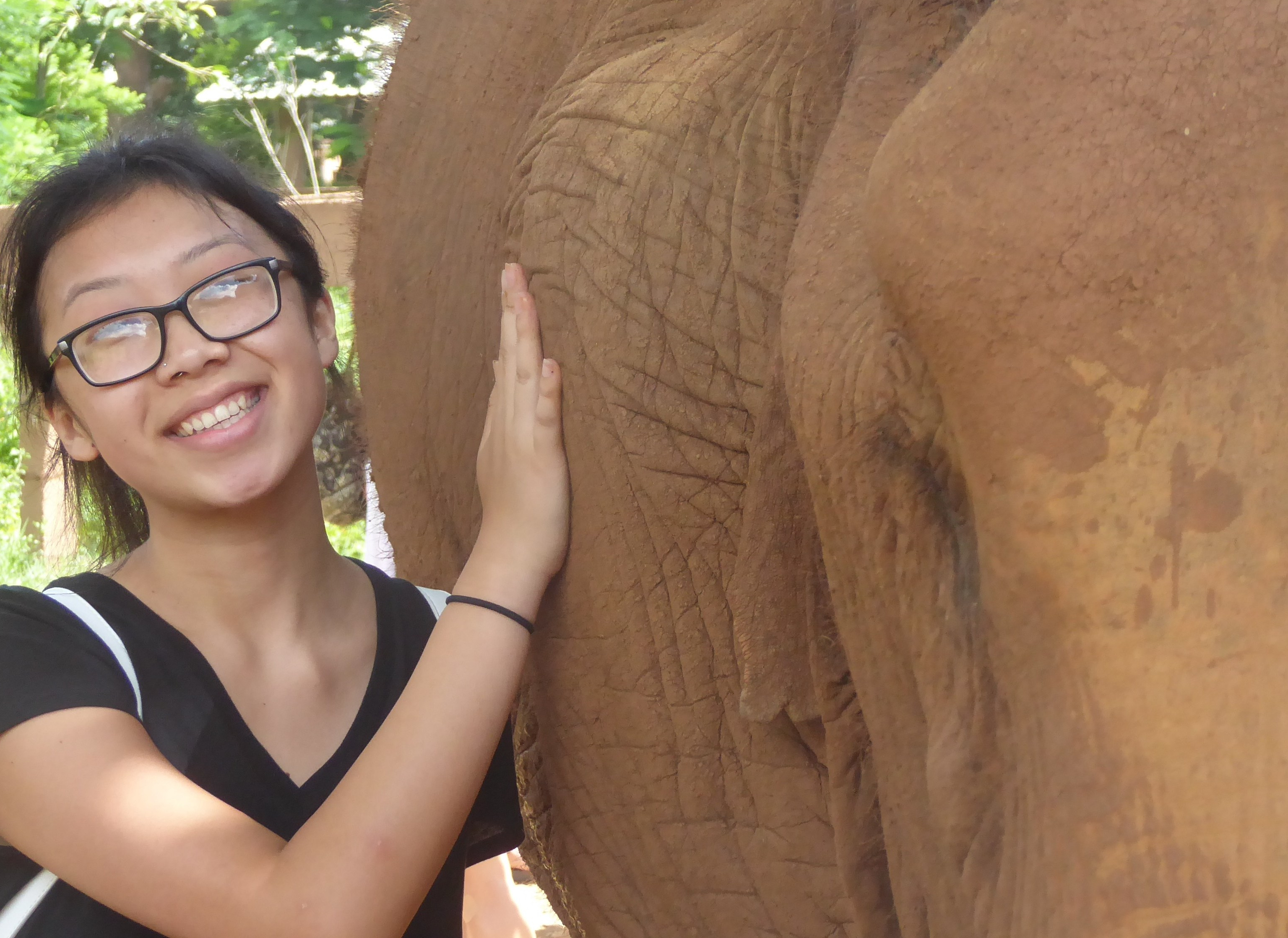 Julie with her elephant friend at the amazing Elephant Nature Park sanctuary in Chiang Mai